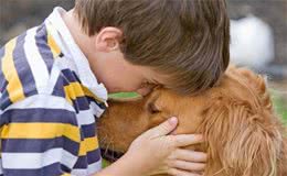 剃毛反而容易导致犬中暑，让狗狗凉爽度夏，这样做才是正确的