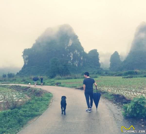 带着狗狗去旅行是怎样一直体验？