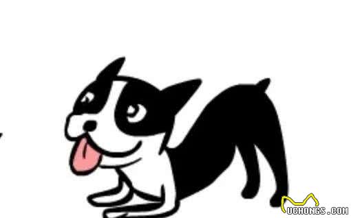 狗狗咬人的原因