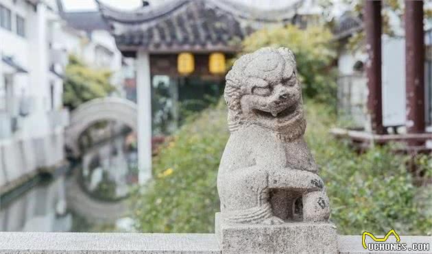 雄狮:“哼!你们中国人干吗要把我雕刻成卷毛狮子狗?”