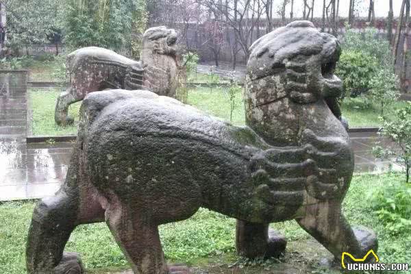 雄狮:“哼!你们中国人干吗要把我雕刻成卷毛狮子狗?”