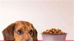 今天给大家讲讲怎样选择狗狗的犬粮问题，请笑纳