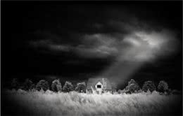 震惊：夫妻用狗碗“伺候”自己的老母亲，5岁儿子期待保存此碗！