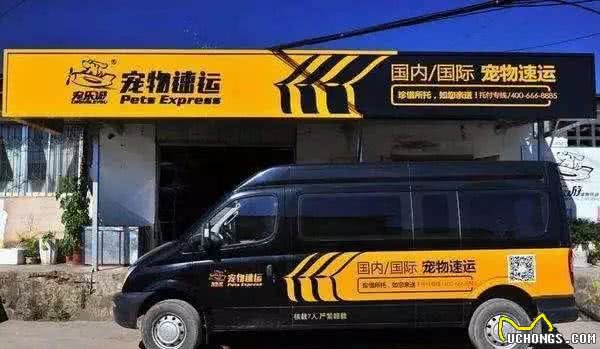 宠物托运的那些事儿，你知道多少？