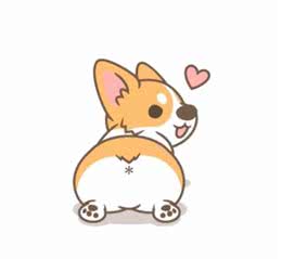 狗狗不能喝牛奶