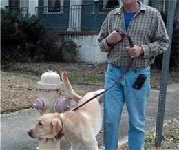 外出遛狗时，必备这“五大件”，不了解的能够看看！