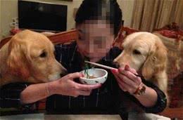 爱狗养狗！该怎么正确的爱狗，而不成为被人讨厌的爱狗