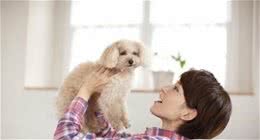 这几位男明星的抱狗姿态被diss，究竟如何抱狗才让狗子享受呢