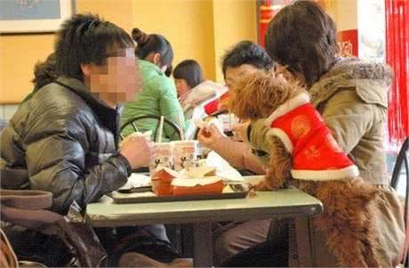 带宠物狗在公开场所就餐宠物狗上餐桌的行为有失礼貌