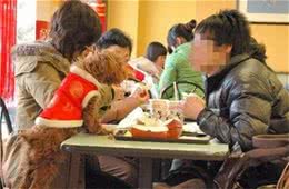 带宠物狗在公开场所就餐宠物狗上餐桌的行为有失礼貌