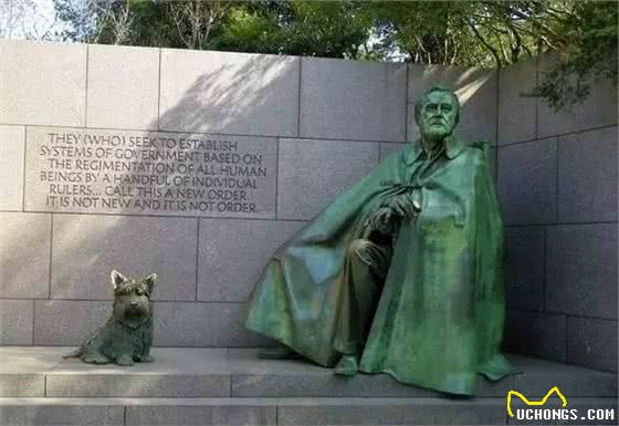 美国历任总统身边的宠物犬，川普是时候养一只二哈了！