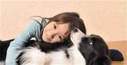 主人“常摸”狗狗的这5个部位，它会更爱你