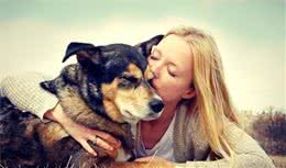 养犬技术篇经验荟萃（养好宠物犬的要点和建议）