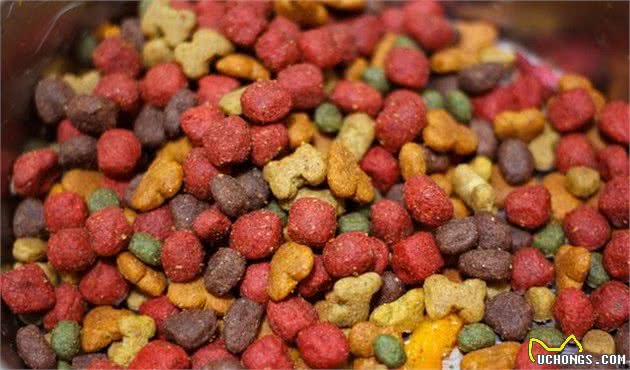 犬粮要怎么挑，成千上万种犬粮，怎么看哪一种最合适狗狗？