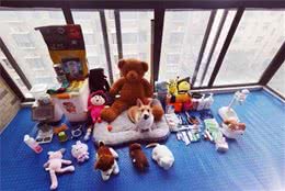 养狗启蒙篇，刚养狗的铲屎官能够来看看