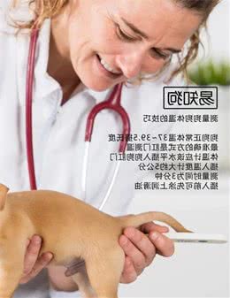 易知狗：如何正确测量狗狗的体温？