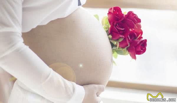 怀孕能养狗吗？孕期养狗还有这类好处！豫备要孩子快看看！