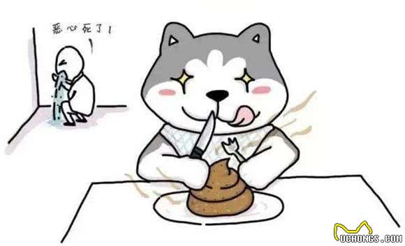 狗狗吃大便，其实不只是饿了，还有这几个原因！