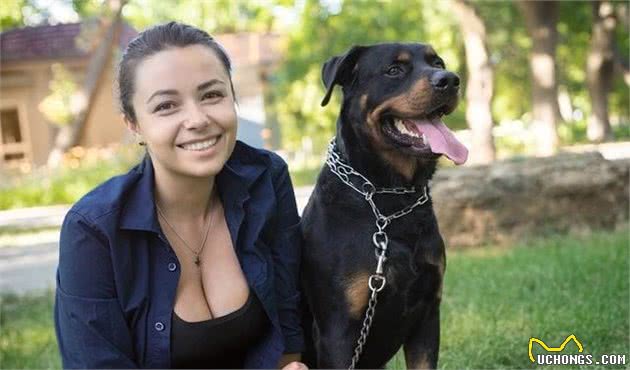 犬癫痫，一起来认识一下吧