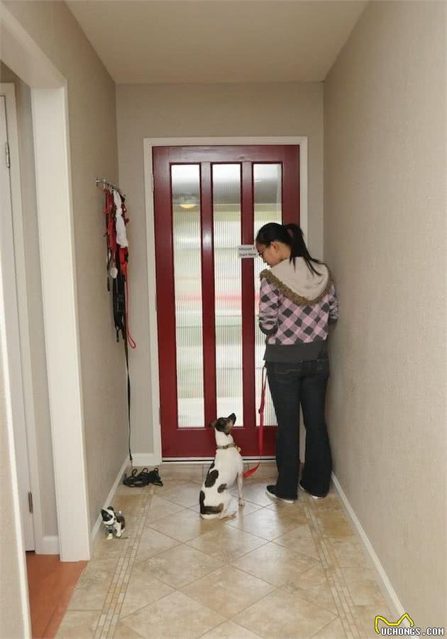 狗狗听到门铃狂吠不止？大声呵责它只会更兴奋！如何让它不再乱叫