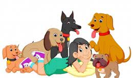 最聪明的五种巨型犬品种，排名第一不是纯种的，而是经过杂交来的