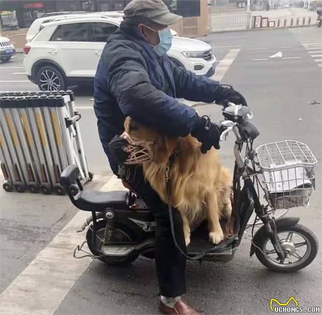 特殊时期遛狗，看看人家的“硬核”操作，你是不是也这样的？