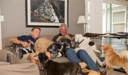 繁衍后代就是狗狗的使命？狗狗真的需要繁殖后代吗？不做有何影响