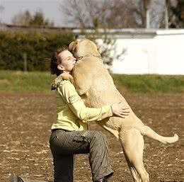 狗狗老扑人？四步方法帮你解决难题