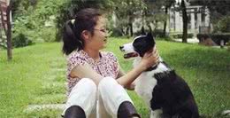 狗狗的社会能力，您的狗狗合格了吗？