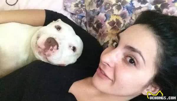 男子买了一只罗威那犬，养着养着他怀疑卖家是不是给了他一只哈士奇犬