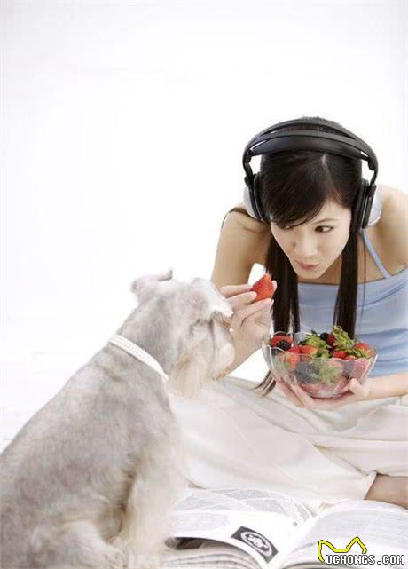 记住这8种不起眼的小技巧，99%的狗狗都不再挑食厌食啦