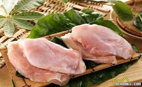 干货！在家如何自制犬粮？（附珍藏食谱）