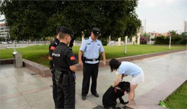 蒲江民警街头发放宠物狗牵引绳,网友点赞:了解和沟通的绳子!