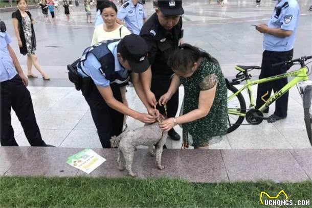 蒲江民警街头发放宠物狗牵引绳,网友点赞:了解和沟通的绳子!