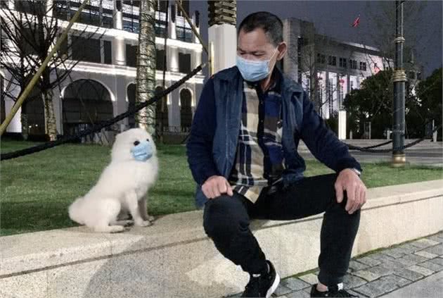 “伴侣动物”抬高狗的地位,对狗主人也提出了更高要求