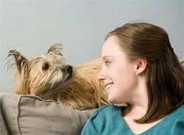 10个你不知道的犬行为心理