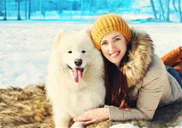 遭遇别人家养犬攻击，如何采取正当防卫？”