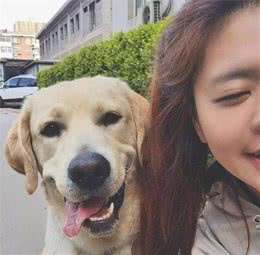 宠物狗要不要绝育？深入了解后，发现其中不简单