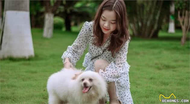 博美犬有这7种表现，说明把你当“父母”了，好好珍惜吧