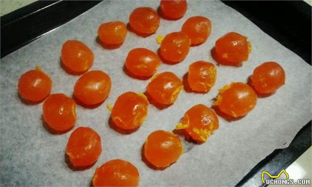 除了吃犬粮，这6种食物，泰迪犬越吃越健康，一般家庭都有！