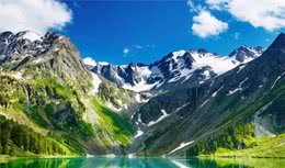 幼犬粮怎样喂食