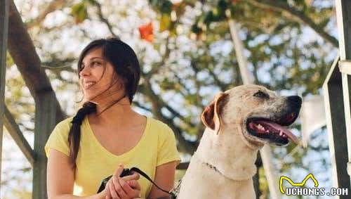 辟谣！夏天要把犬毛剃光才凉爽？可能会伤害到汪星人皮肤和健康