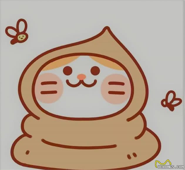 7种常见便便情况，可知狗狗健康程度，最后一种让主人头疼