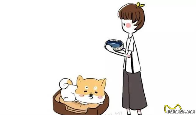 涨姿态·狗狗肠胃炎？老中医教你怎么治