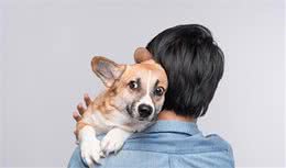 狗狗一生有2次恐惧期，主人处置不好，狗狗只会越来越焦虑