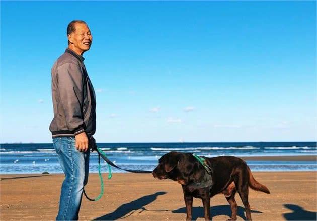 当你想要训练狗狗时，要提早做好这五点功课