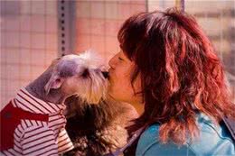 人要是有“狗缘”，身上肯定有这5个特点，你有吗？