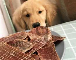 狗狗零食到底怎么选？