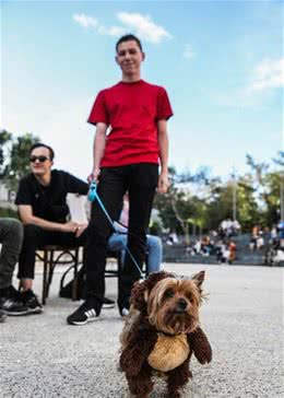 莫斯科狗狗服装秀