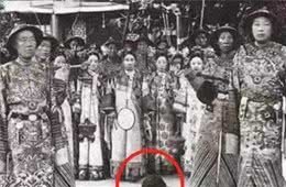 慈禧有只宠物袖狗，但却永远长不大，洋画师写书揭秘其中诡异原因